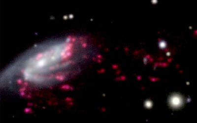 Citizen-Science-Projekt zur Suche nach Quallengalaxien startet